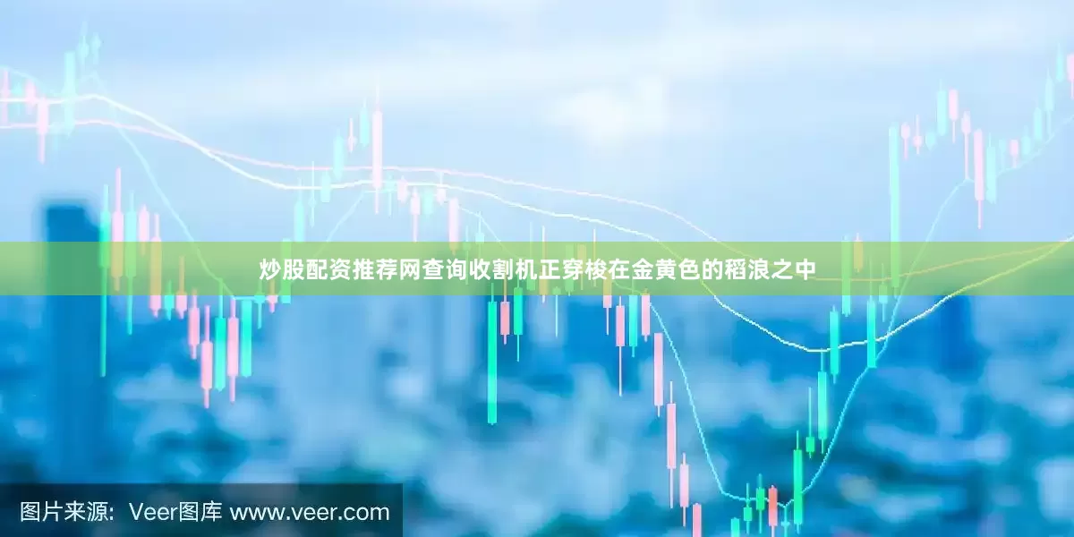 炒股配资推荐网查询收割机正穿梭在金黄色的稻浪之中