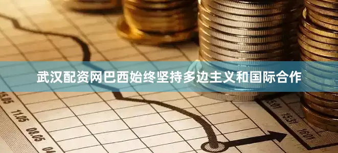 武汉配资网巴西始终坚持多边主义和国际合作
