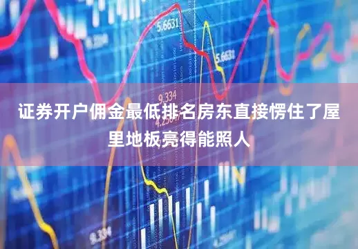 证券开户佣金最低排名房东直接愣住了屋里地板亮得能照人