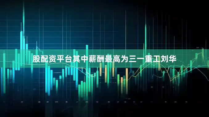 股配资平台其中薪酬最高为三一重工刘华